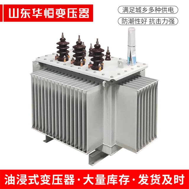 S13-10000/35丰满丰满丰满油浸式变压器厂家